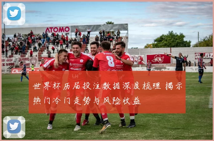 世界杯历届投注数据深度梳理 揭示热门冷门走势与风险收益