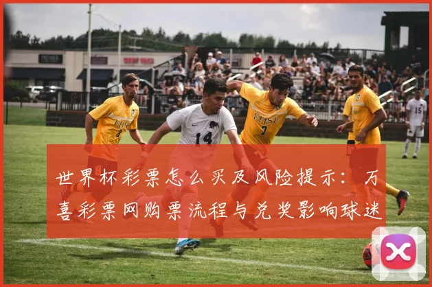 世界杯彩票怎么买及风险提示:万喜彩票网购票流程与兑奖影响球迷参与
