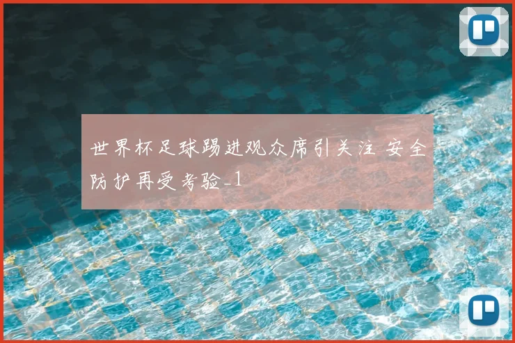 世界杯足球踢进观众席引关注 安全防护再受考验_1