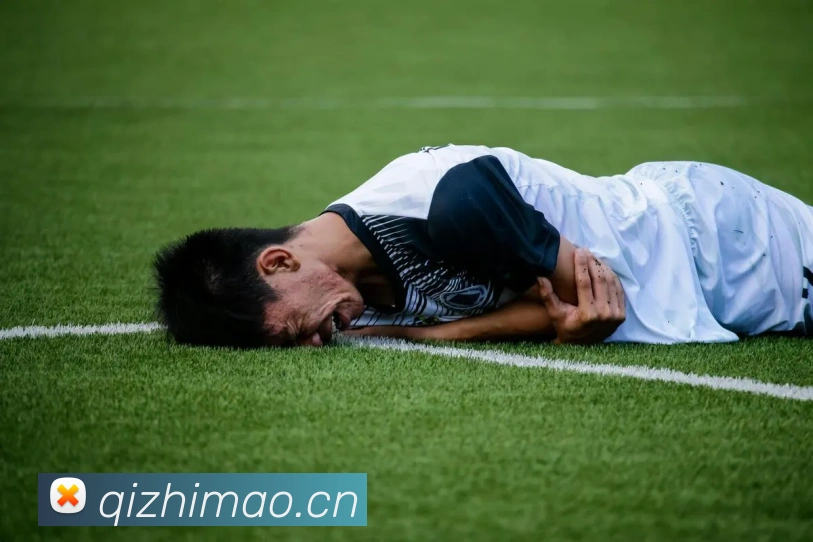 神彩争霸网唯一网站服务体系